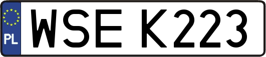 WSEK223