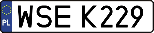 WSEK229