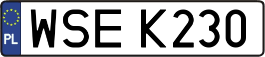 WSEK230