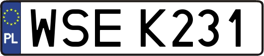 WSEK231