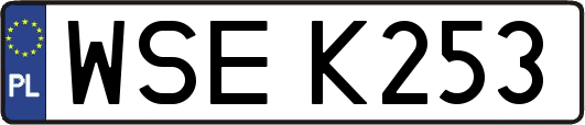 WSEK253