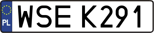 WSEK291