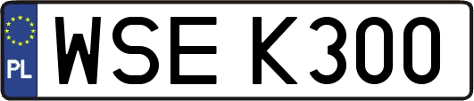 WSEK300