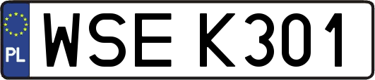 WSEK301