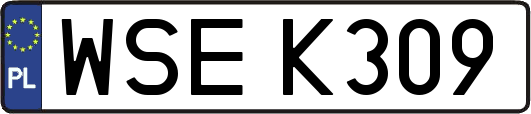 WSEK309
