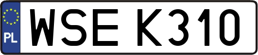 WSEK310
