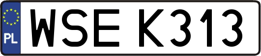 WSEK313