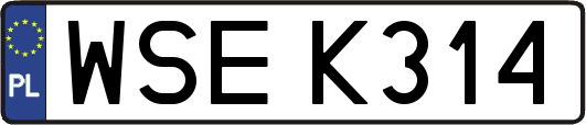 WSEK314