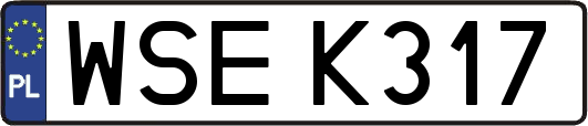 WSEK317