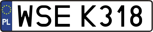 WSEK318