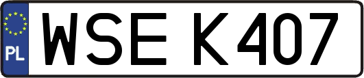 WSEK407