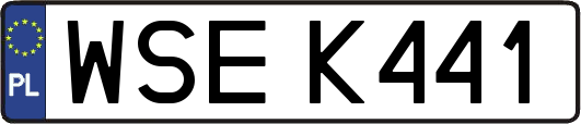 WSEK441