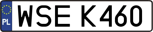 WSEK460