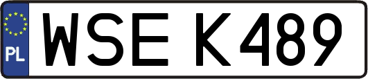 WSEK489