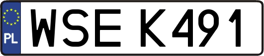 WSEK491