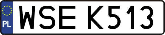 WSEK513