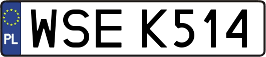 WSEK514