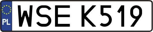 WSEK519
