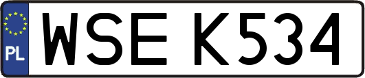 WSEK534