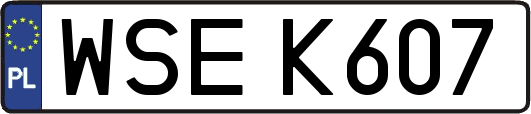 WSEK607