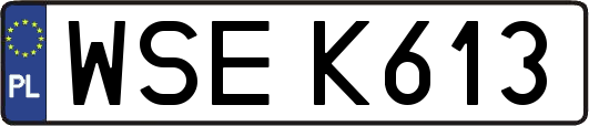 WSEK613