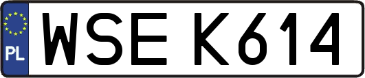 WSEK614