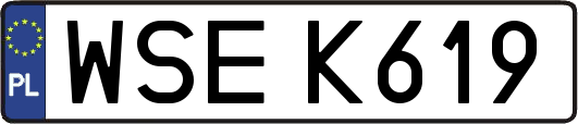 WSEK619