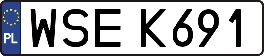 WSEK691