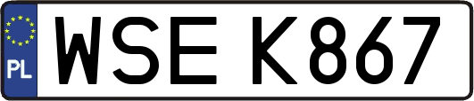 WSEK867