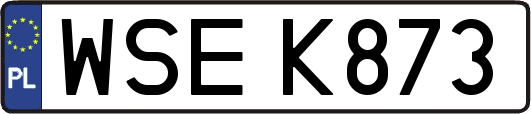 WSEK873