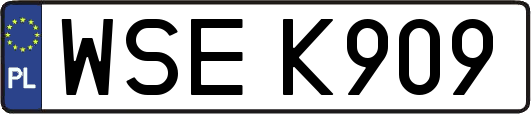 WSEK909
