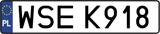 WSEK918