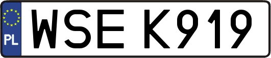 WSEK919