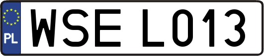 WSEL013