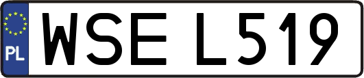 WSEL519