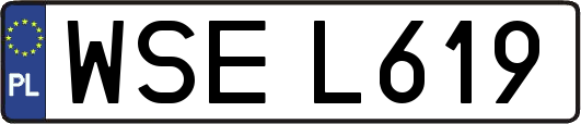 WSEL619