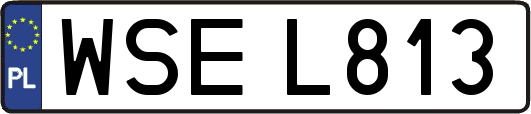 WSEL813