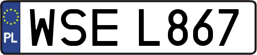 WSEL867