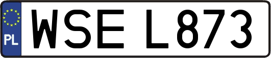 WSEL873