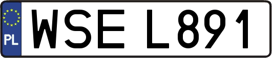 WSEL891