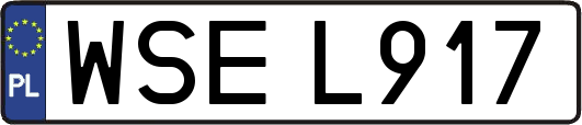 WSEL917