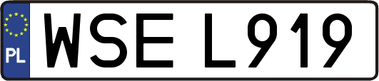 WSEL919