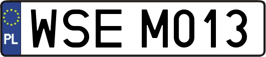 WSEM013