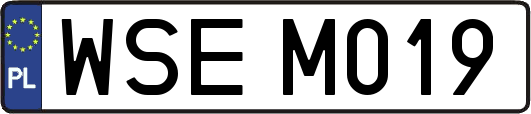 WSEM019