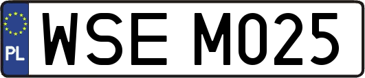 WSEM025