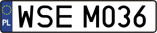 WSEM036