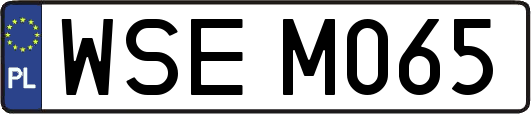 WSEM065