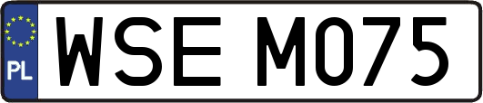 WSEM075