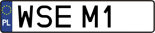 WSEM1