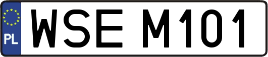 WSEM101